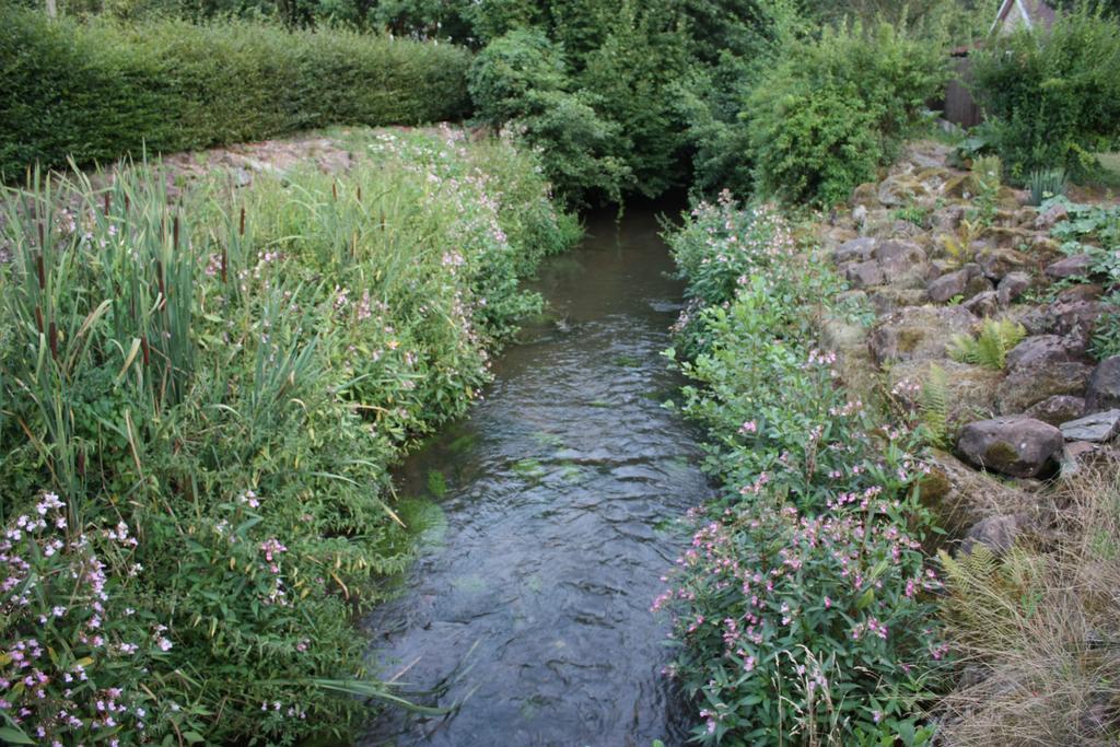 Gite Du Moulin Uhrwiller Zewnętrze zdjęcie