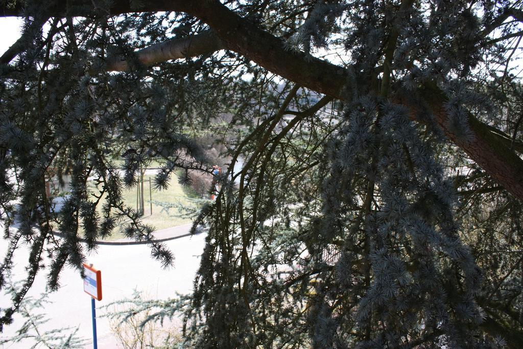 Gite Du Moulin Uhrwiller Zewnętrze zdjęcie